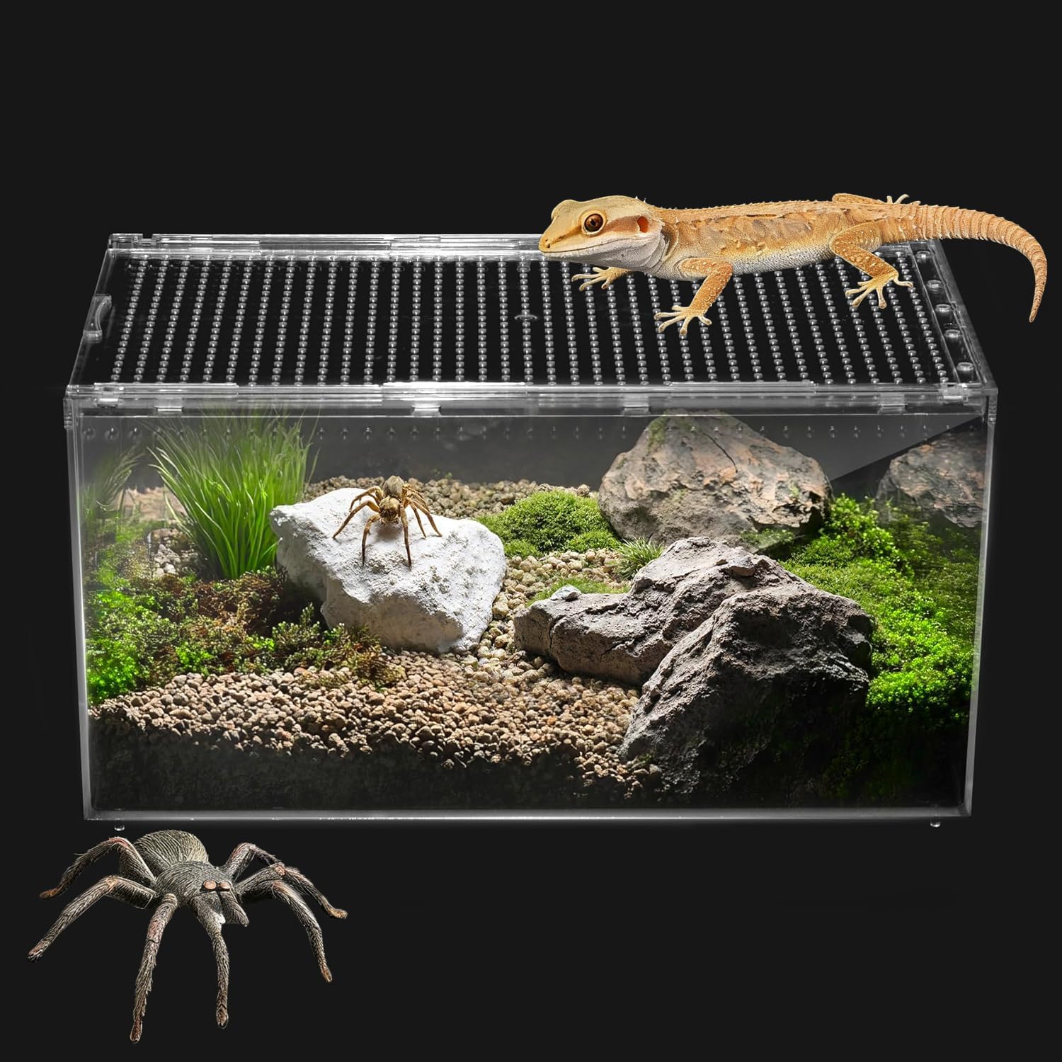 Insect breeding Box Reptile Feeding Box, Waterproof Enclosure Enclosure for arboreal Tarantula Scorpion Sling Lizards Snake Gecko Jumping Spider Snail Isopods, Reptile breeding Box (8x6x4 Inch) ﻿