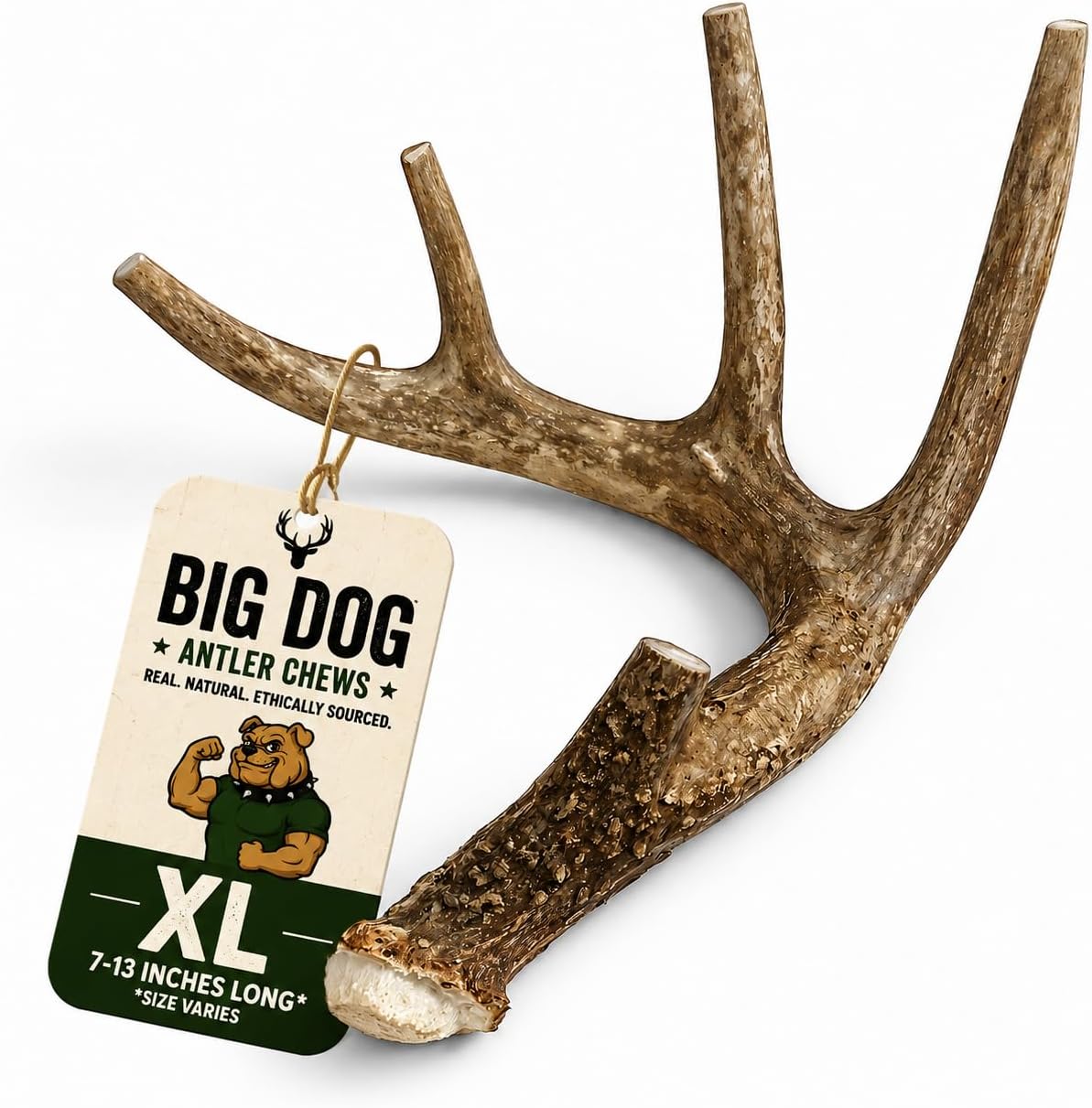 XL Deer Antler Dog Chew – Extra Large, Jumbo, for Large Dogs and Puppies Who are Aggressive Chewers