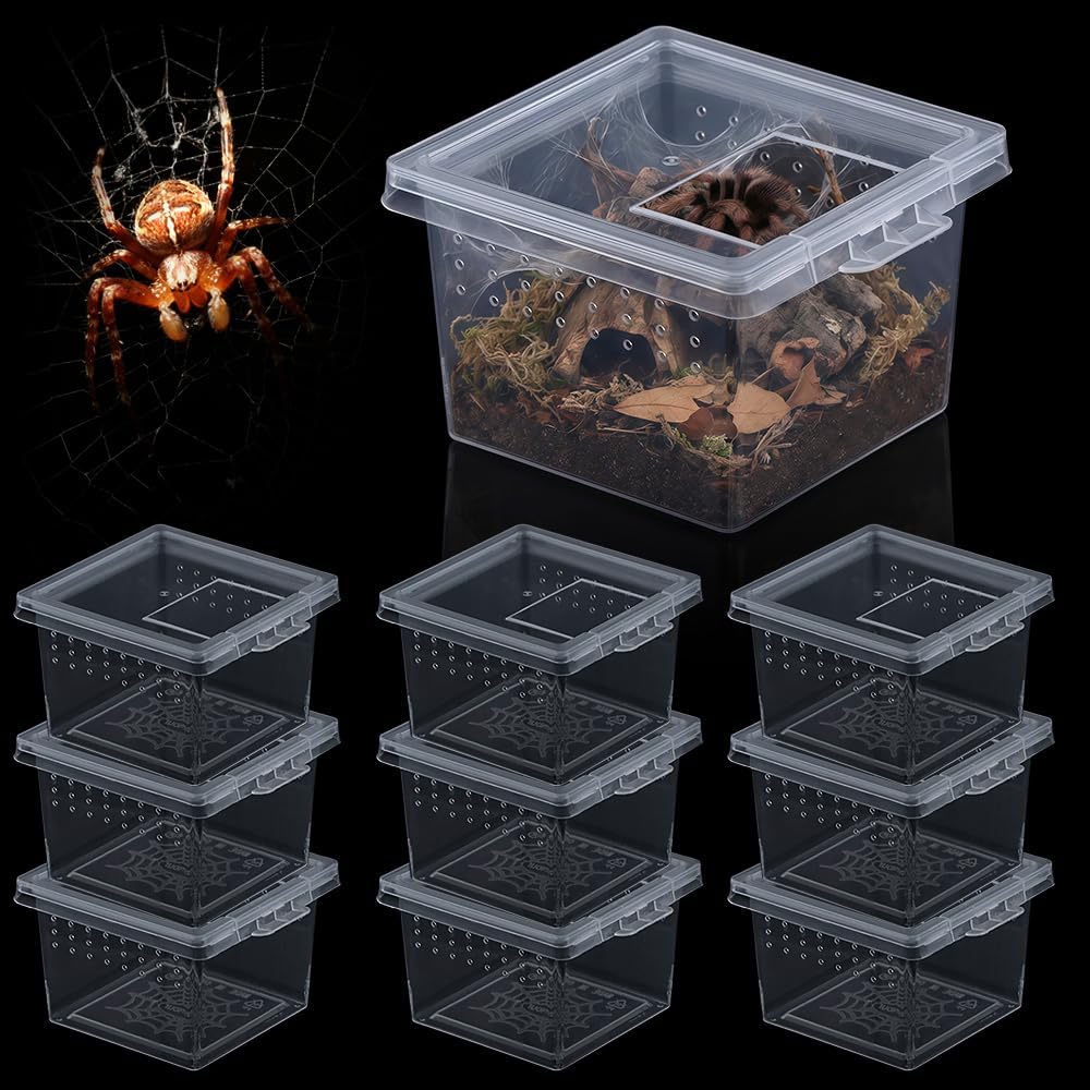 10 Pcs Insect Spider Terrariums Breeding Box Hatching Container Small Reptile Scorpion Centipede Acrylic Breeding Box (Small Size)