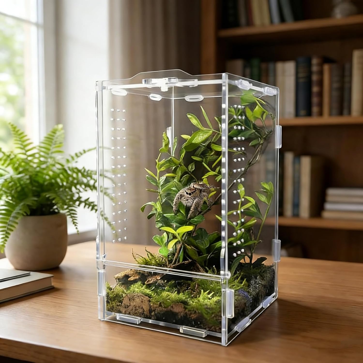 Acrylic Jumping Spider Enclosure: Arboreal Tarantula Enclosure