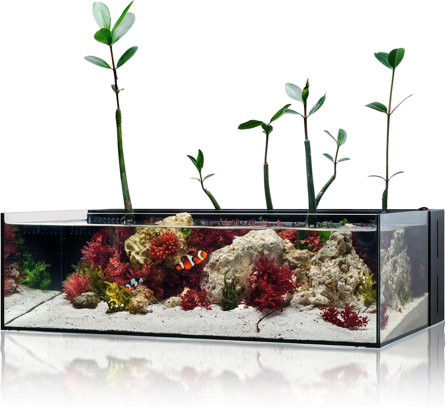 Ultum Nature Systems Dual AIO – Freshwater/Saltwater Compatible, All in One Rimless Tank with Triple Chamber Filtration System, Integrated Filter Aquarium with Leveling Mat – 10 Gallon, 60SA, Black