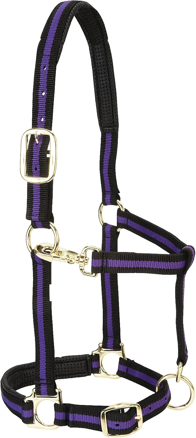 Weaver Leather Padded Adjustable Nylon Horse Halter, Purple, 1″ Small Horse