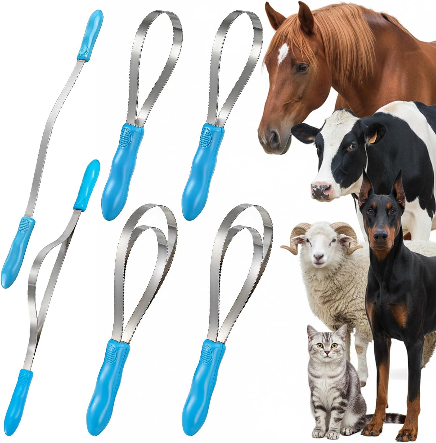 ZENFUN 6 Pc Dual-Sided Dog Shedding Blade, Stainless Steel Grooming Tool for Horse, Cattle, Sheep with Comfort Grip, Curry Deshedder De-Shedding Tool for All Dogs Coat Types (Single Loop Double Loops)