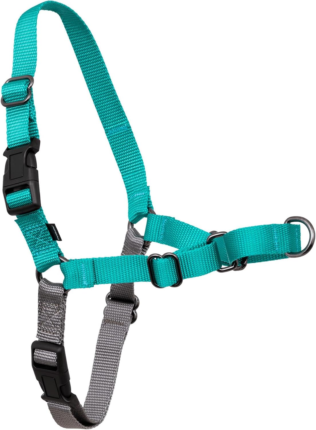 PetSafe Easy Walk Harness, No Pull Dog Harness, Large, Teal