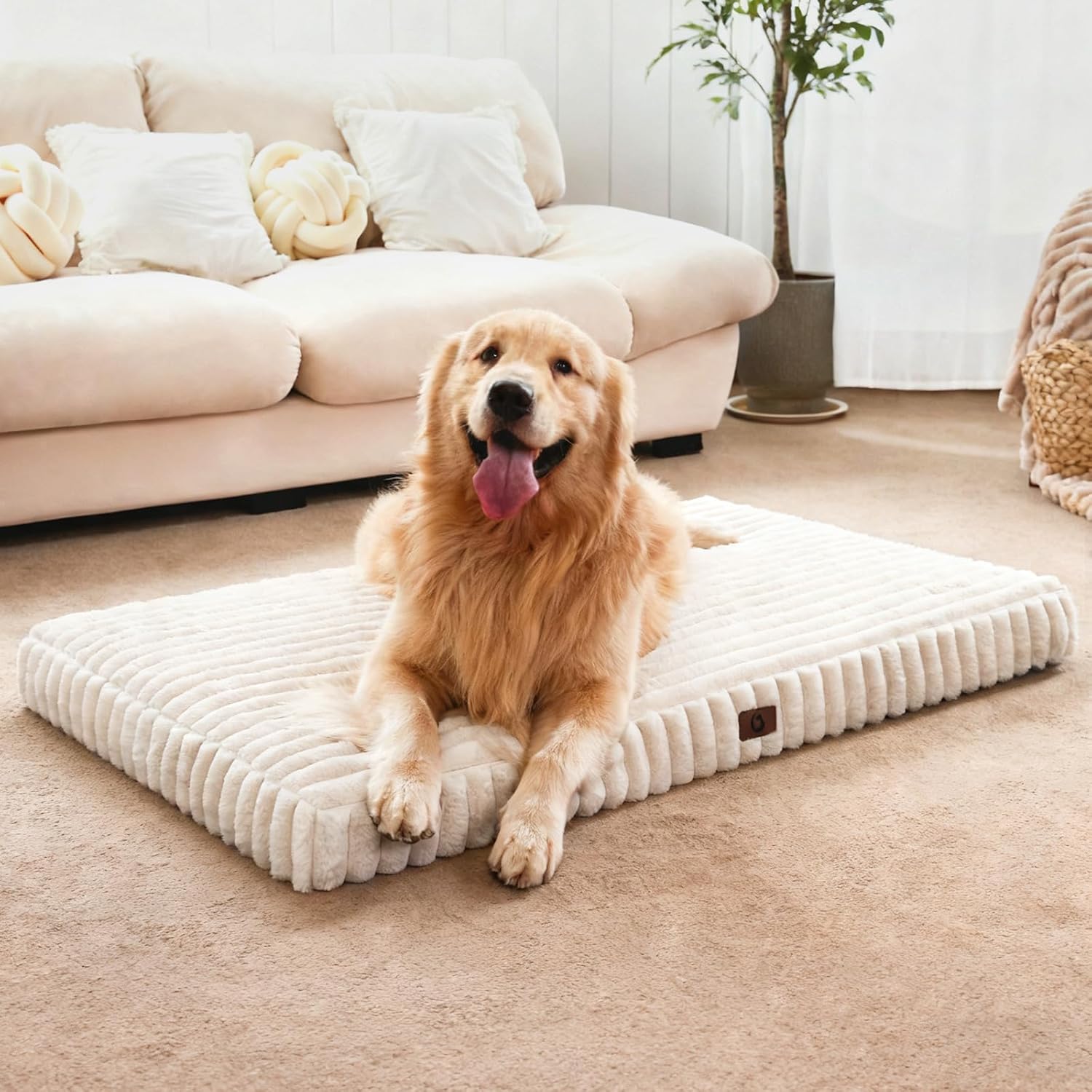 Dog Beds for Large Sized Dog, Orthopedic Foam with Waterproof Lining