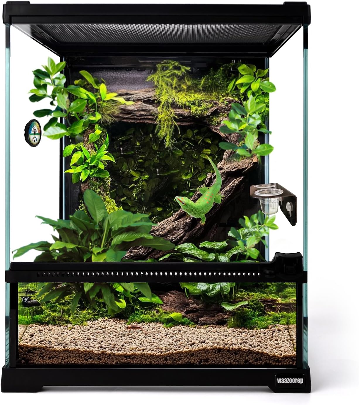 Mini Reptile Glass Terrarium Tank 8″*8″*10″ Full View with Front Opening Door,Amphibians Enclosure Habitat Cage for Leopard Gecko Tarantula Young Lizard Hermit Crab Frog Insects Breeding
