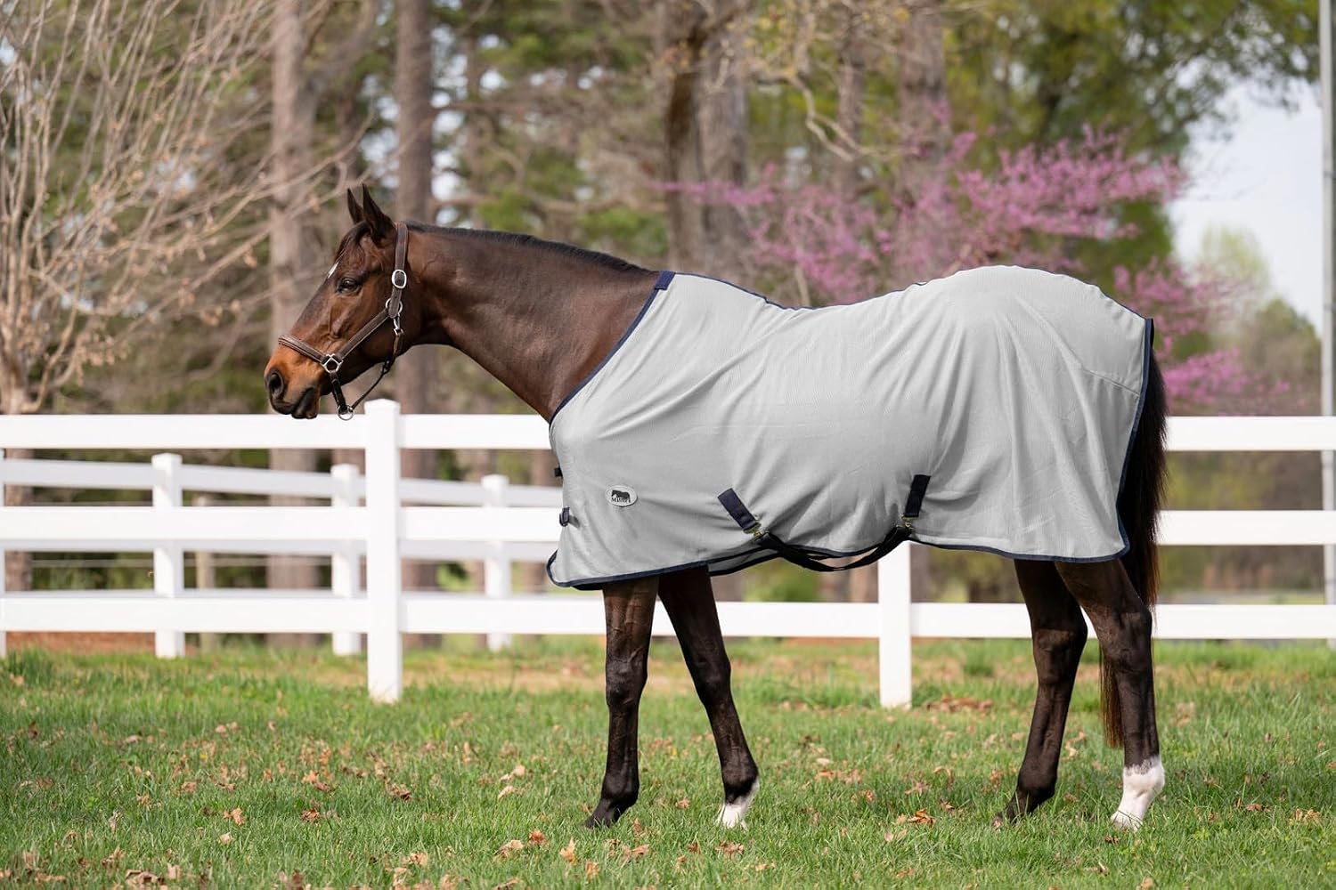 Miller’s Fly Sheet for Horses-Gray with Royal Trim-78