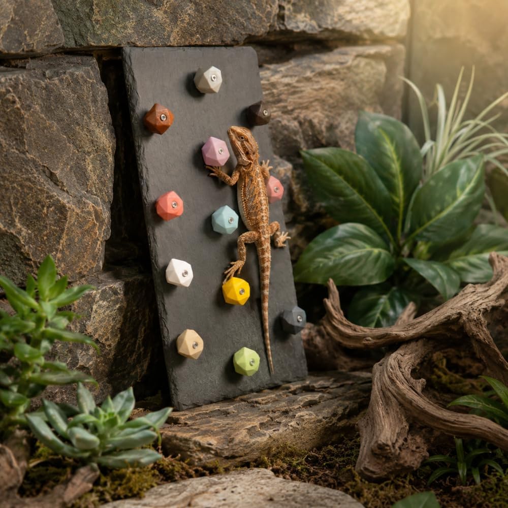 Bearded Dragon Accessories Reptile Climbing Wall, Rock Slate Climbing Board with 13 Colorful Grip Holds for Gecko & Lizard Tank, Reptile Habitat Decor for Claw Grinding, Basking & Exercise