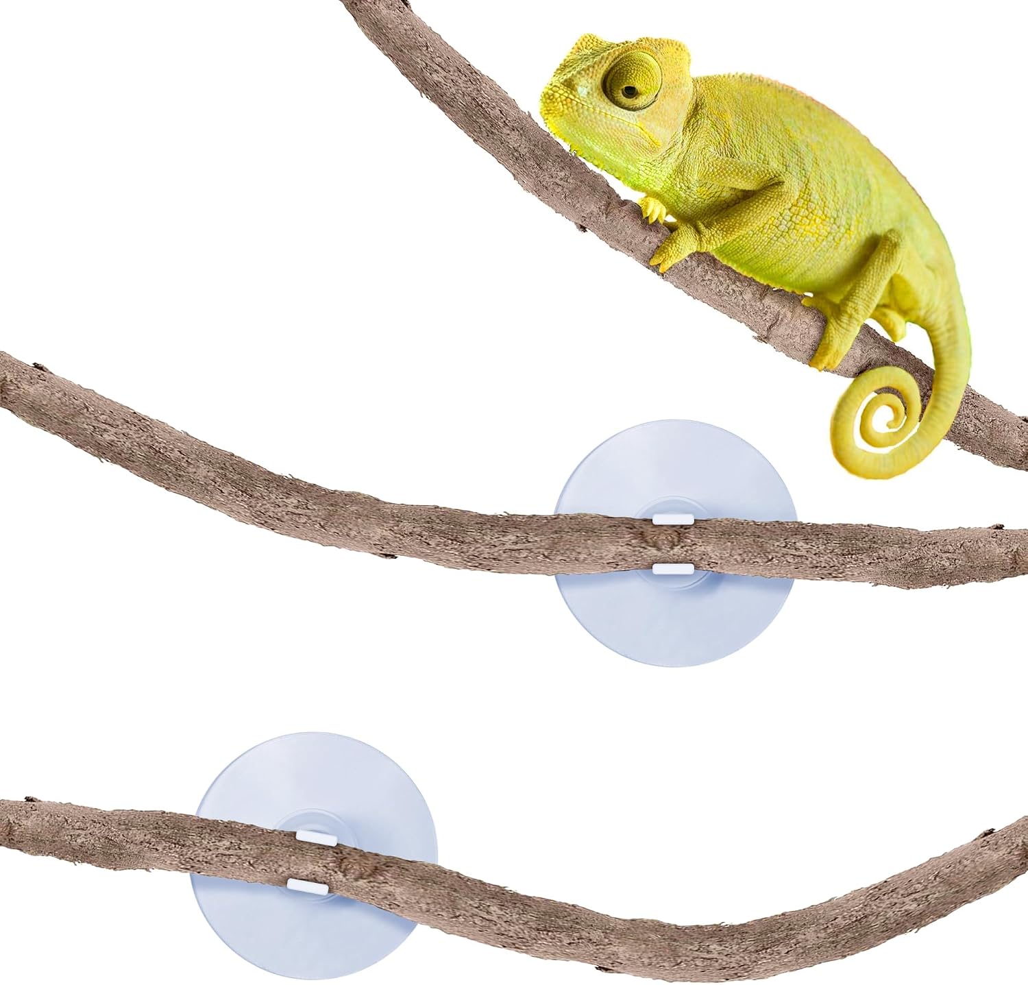 SunGrow 6 ft Reptile Vine for Terrarium, Flexible Climber Lizard Tank Decor, Ball Python Snake Climbing Accessories, Twistable and Bendable Habitat Decor Terrarium Vines for Chameleon, Bearded Dragon