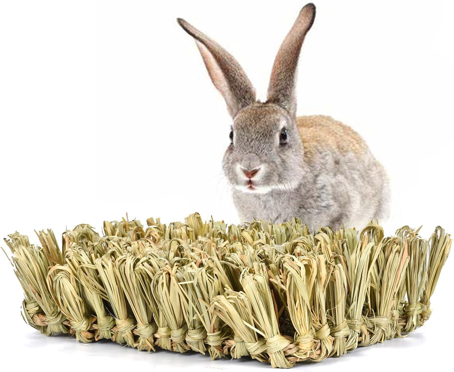 Hamiledyi Rabbit Grass Bed Bunny Natural Woven Foraging Mat Guinea Pig Hay Mat Enrichment Toy Scratch Pad for Chinchilla Squirrel Hedgehog(10.6×7.5×3.5inches)