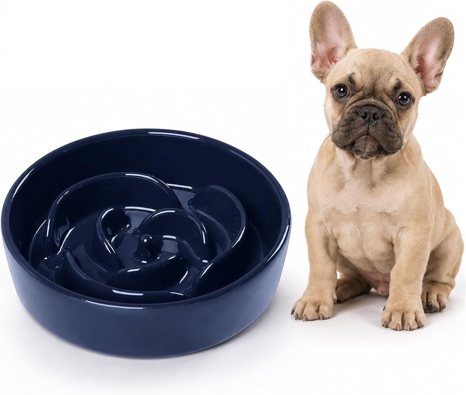 Slow Feeder Dog Bowls Small Breed, 0.6 Cup Ceramic, Non-Slip