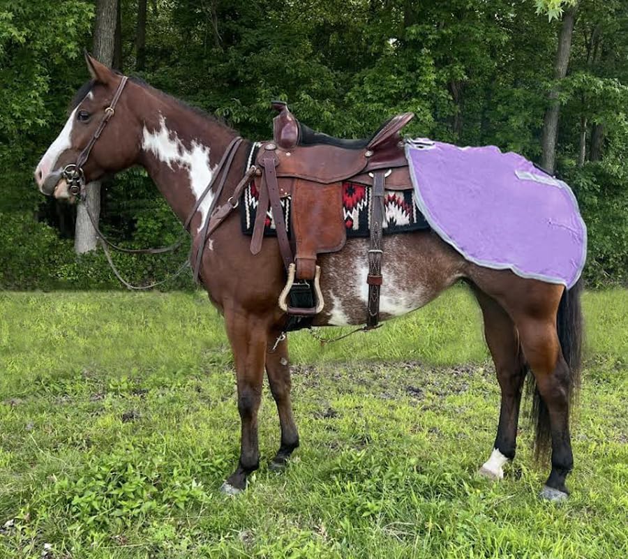 Soft Mesh Rump Fly Scrim Sheet