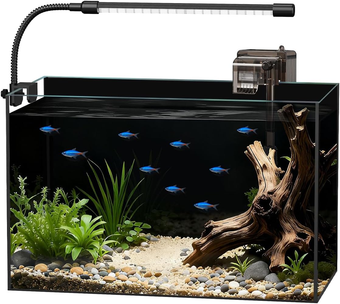 5 Gallon Rimless Glass Fish Tank Aquarium Starter Kit
