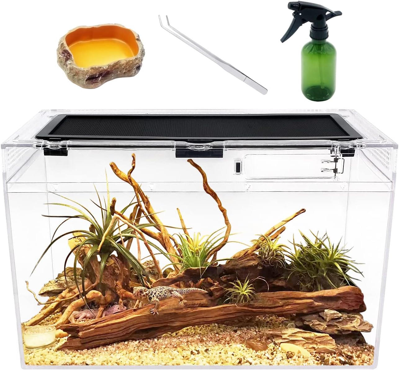 Reptile Terrarium,16″ x 8″x 10″ Reptile Tank with Full View Visually Appealing，for Insect，Fish，Tarantula，Hermit Crab，Jumping Spider，Iguana，Tortoise，Leopard Gecko，Frog，Bearded Dragon