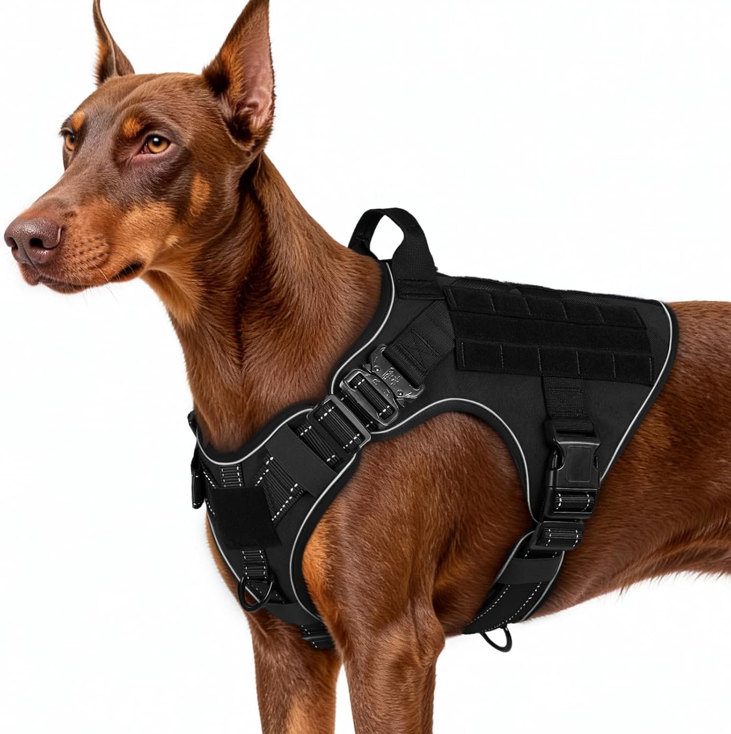 rabbitgoo Tactical Dog Harness for Large, Heavy Duty Military No Pull Vest