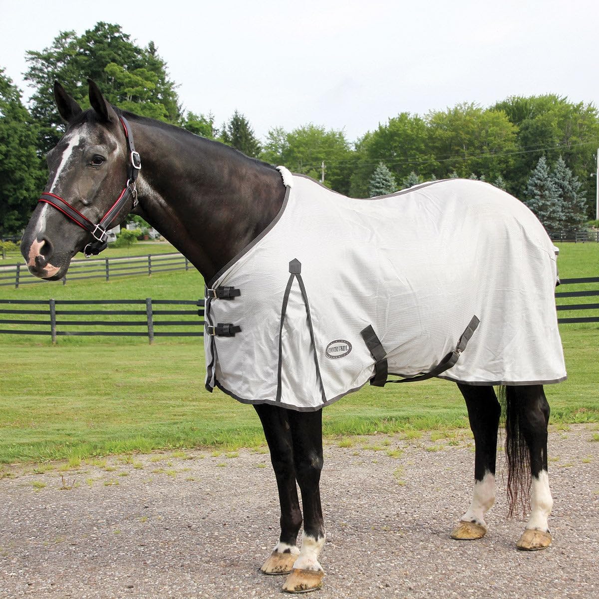 Country Pride Mesh Fly Sheet, Lightweight Breathable Horse Fly Protection, Fleece Wither Protection, Shoulder Gussets, Tail Cover, Adjustable Elastic Leg Straps, Grey with Silver Trim (82 in)