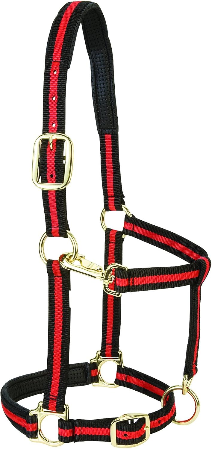 Weaver Leather Padded Adjustable Nylon Horse Halter, Red, 1″ Small Horse