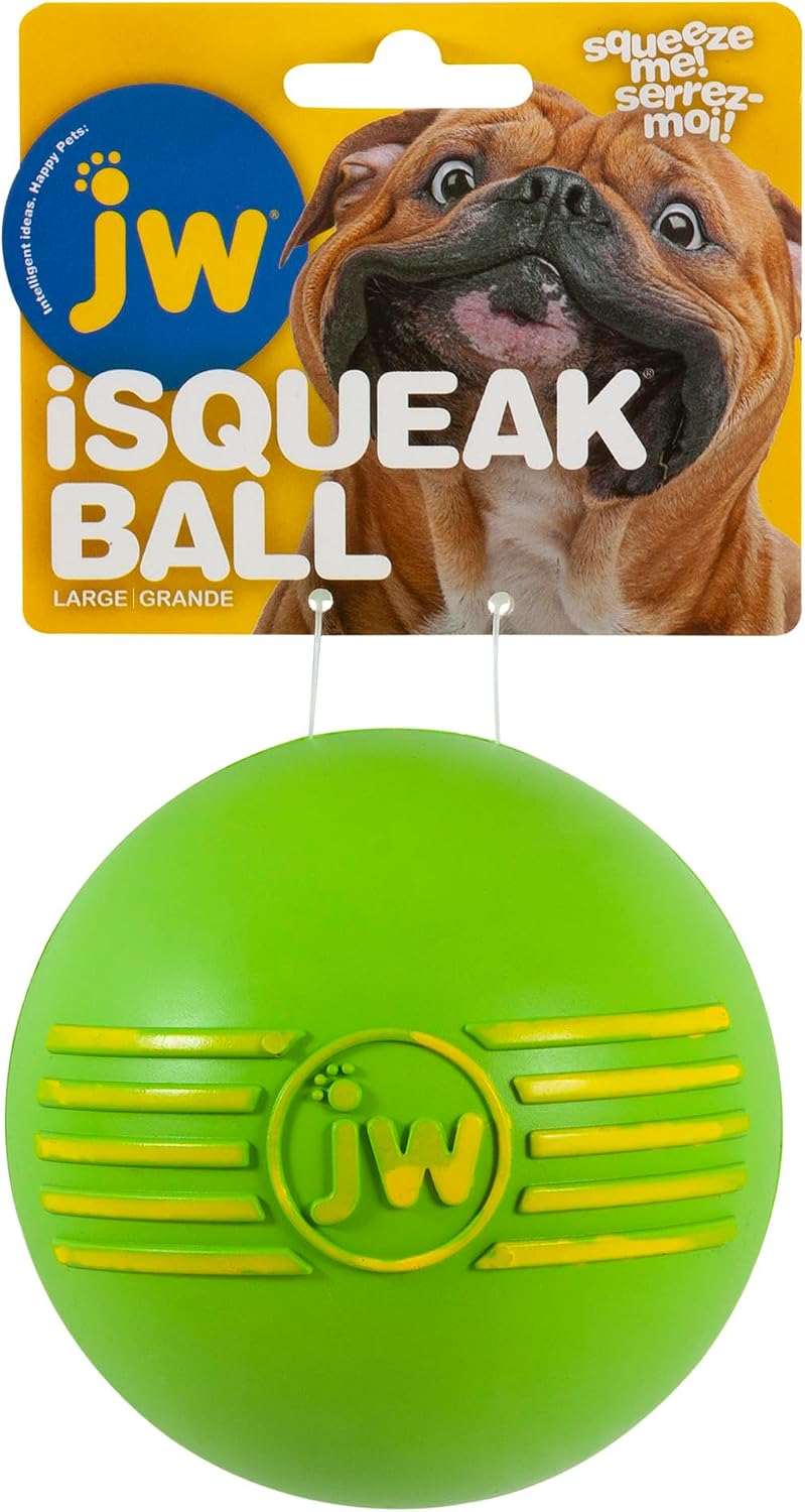 JW Pet Dog iSqueak Ball Dog Toy, Large, (Assorted Colors)