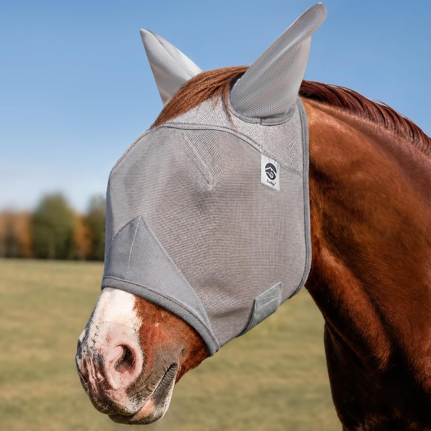 Raelitego Horse Fly Mask with Ears, Breathable Mesh UV Protection (M)