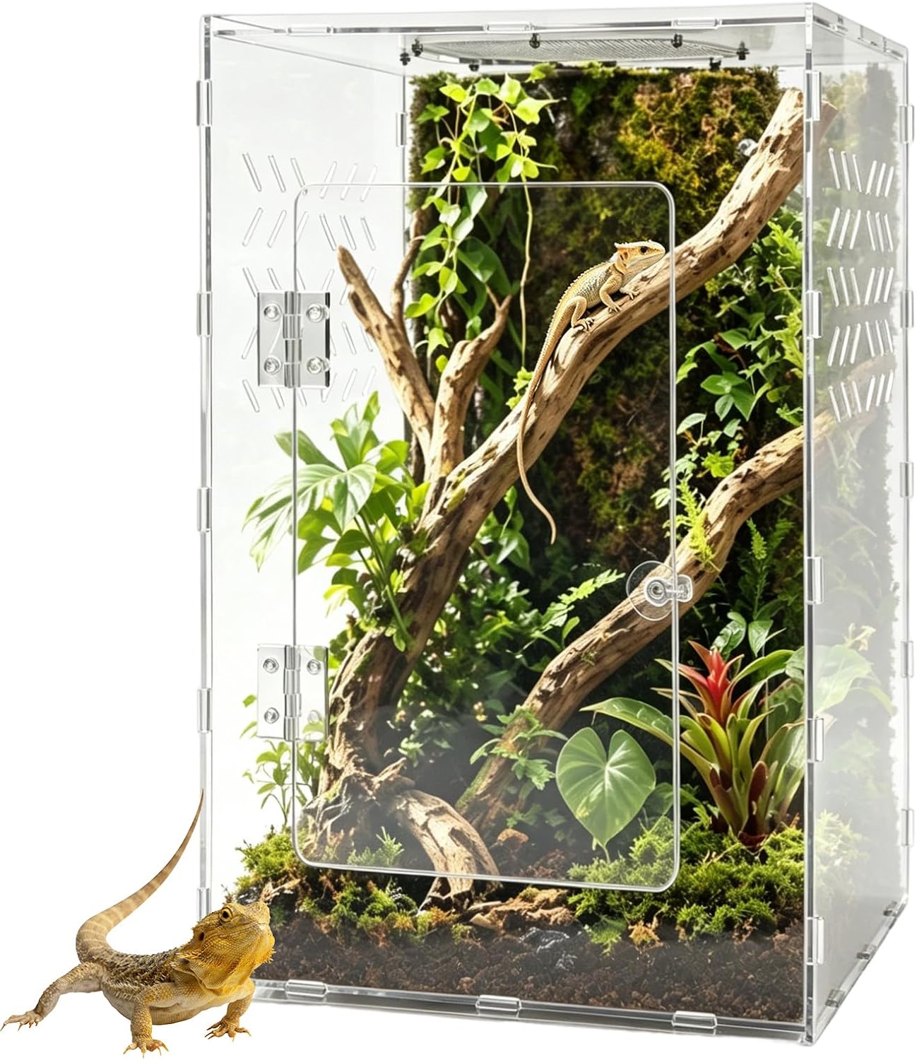 10 Gallon Acrylic Reptile Tank Enclosure,12x12x18 Fully Transparent Reptile Terrarium Acrylic Front Opening with Metal Translucent Mesh Top for Crested Gecko Lizards, Snakes, Chameleon