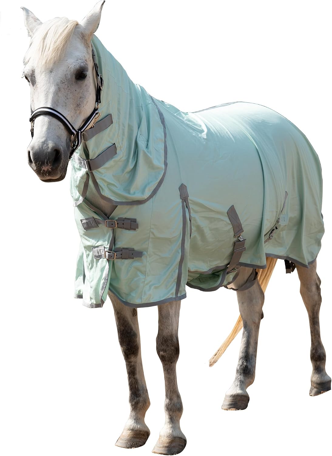 Horse Fly Sheet with Removable Neck Cover & Belly Wrap, Fine Mesh