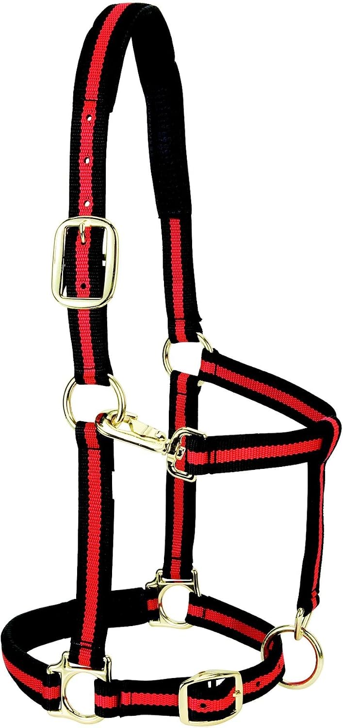 Weaver Leather Padded Adjustable Nylon Horse Halter, Red, 1″ Large Horse