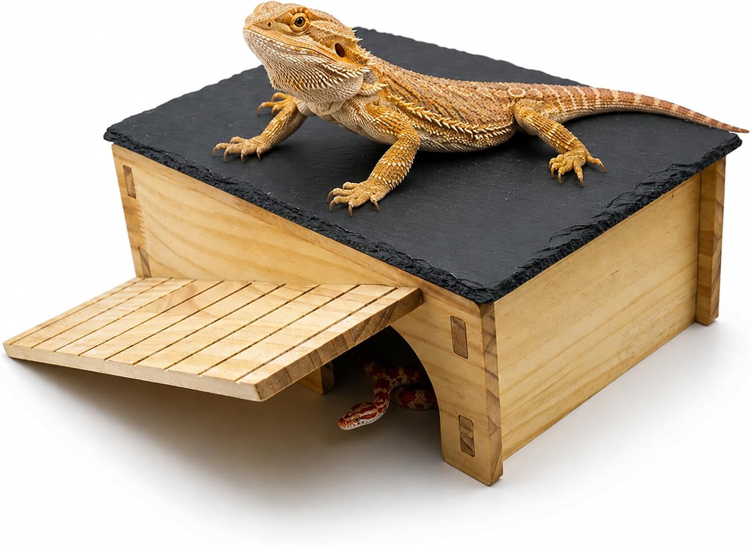 Bearded Dragon Basking Platform & Hideout, Natural Slate Rock Reptile Hide