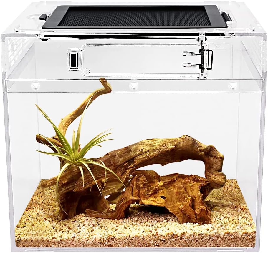 Reptile Growth mini Reptile Terrarium,8″ x 8″x 8″ Reptile Tank with Full View Visually Appealing，for Insect，Fish，Tarantula，Hermit Crab，Jumping Spider，Iguana，Tortoise，Leopard Gecko，Frog，Bearded Dragon