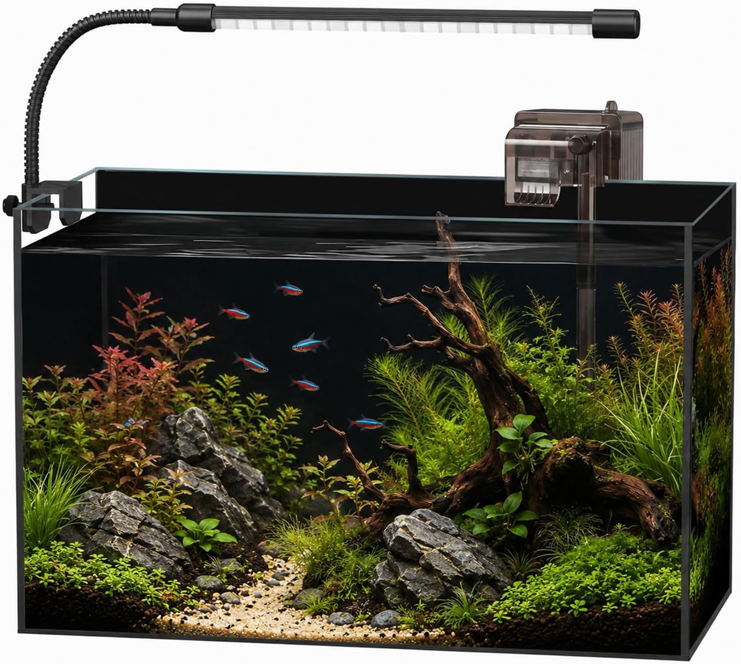 5 Gallon Glass Aquarium Starter Kit, Rimless Fish Tank