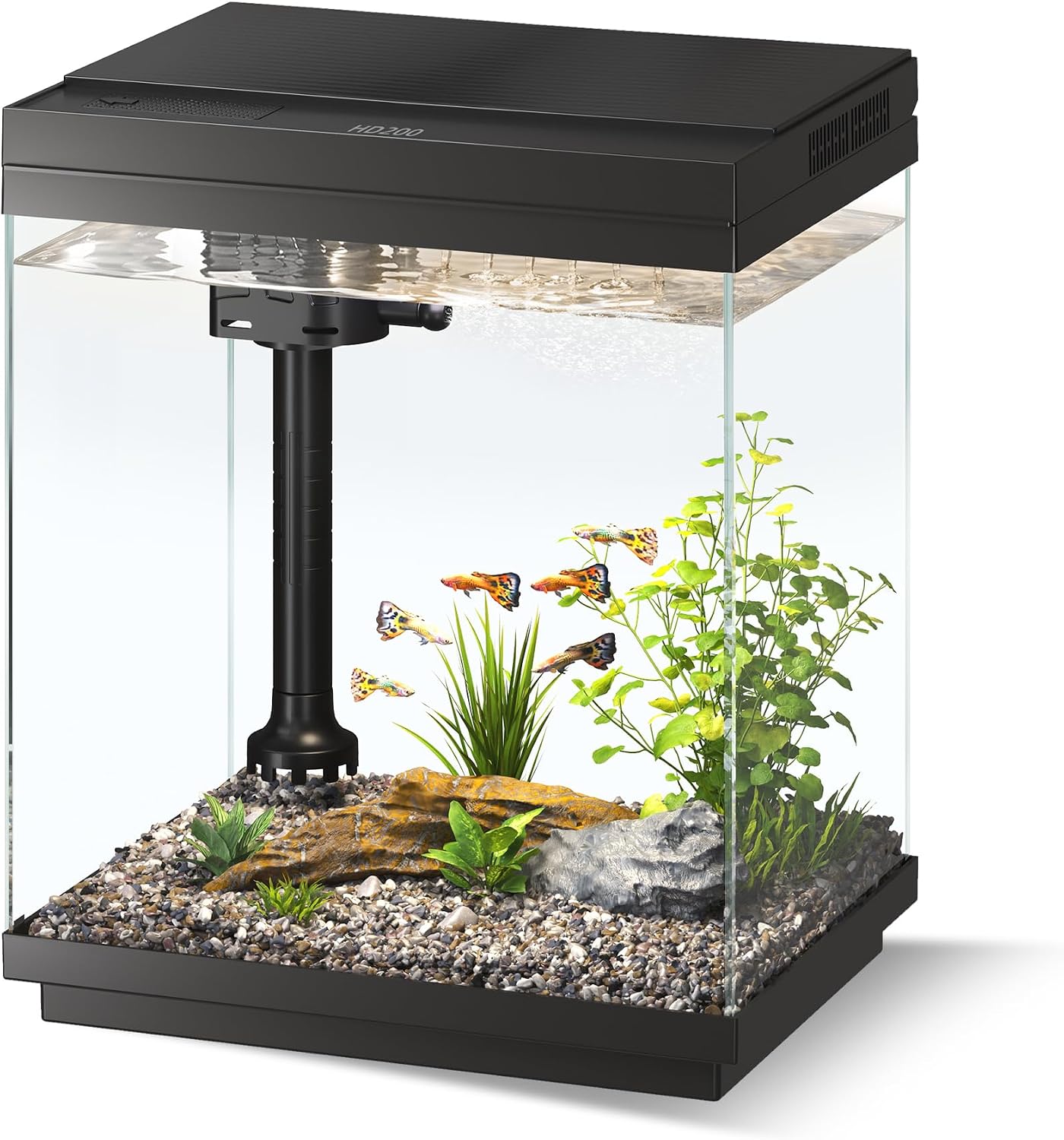 Betta Fish Tank 1.6 Gallon Glass Small Aquarium Starter Kit Black