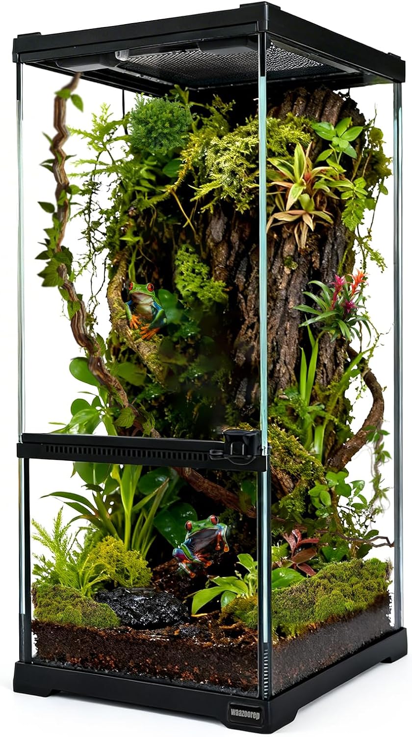 Tall Reptile Glass Tank 8″x8″x18″ Pre-Assembled Vertical Small Reptile Terrarium for Arboreal Geckos,Chameleon,Lizard,Tree Frog and Snake with Top and Front Openning Door