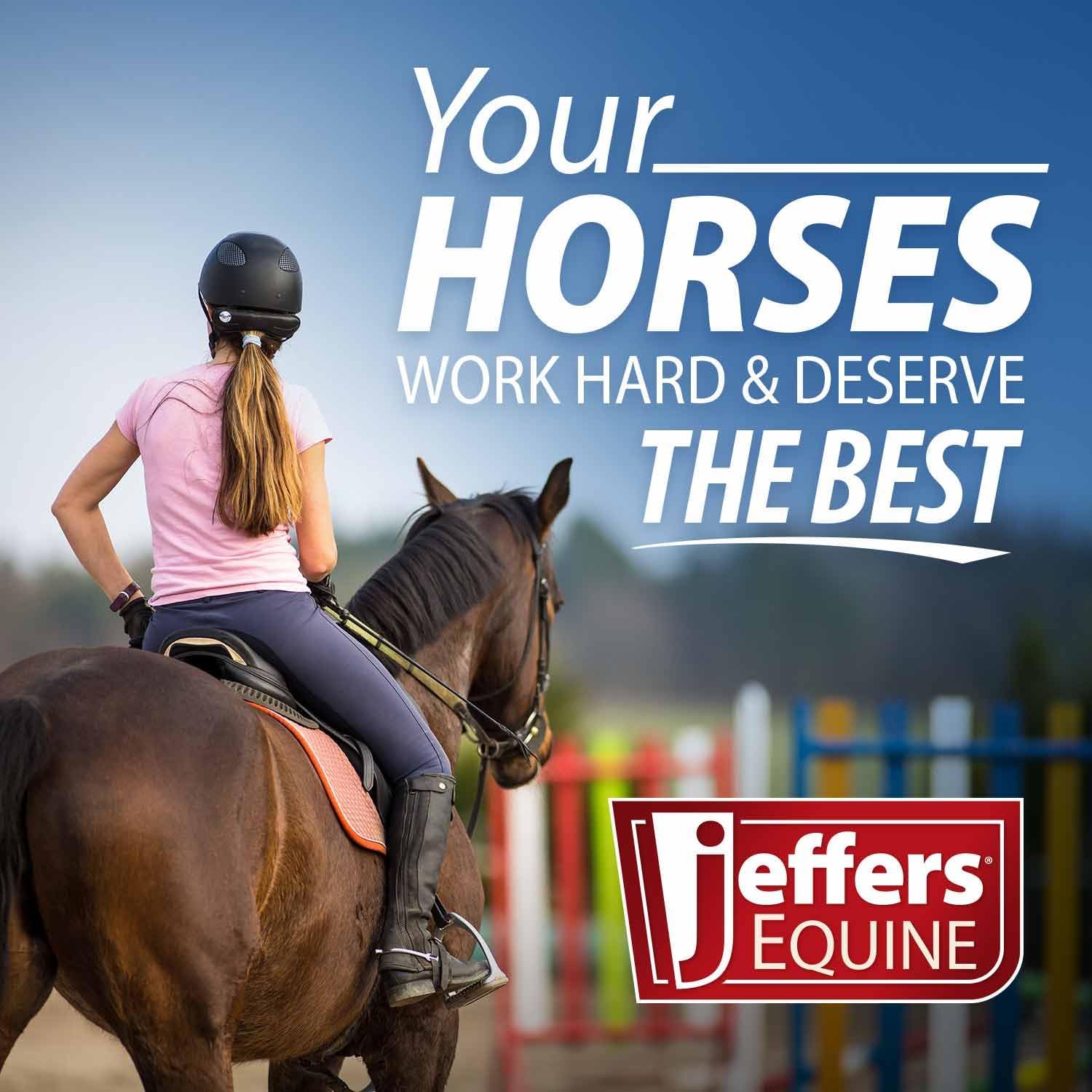 Jeffers Equine 2-in-1 Horse Head Hoof Pick with Cleaning Brush, Durable Hoof Cleaner Tool for Horses, Stiff Bristle Grooming Brush, Equine Stable Tack for Daily Hoof Care and Dirt Removal – Blue