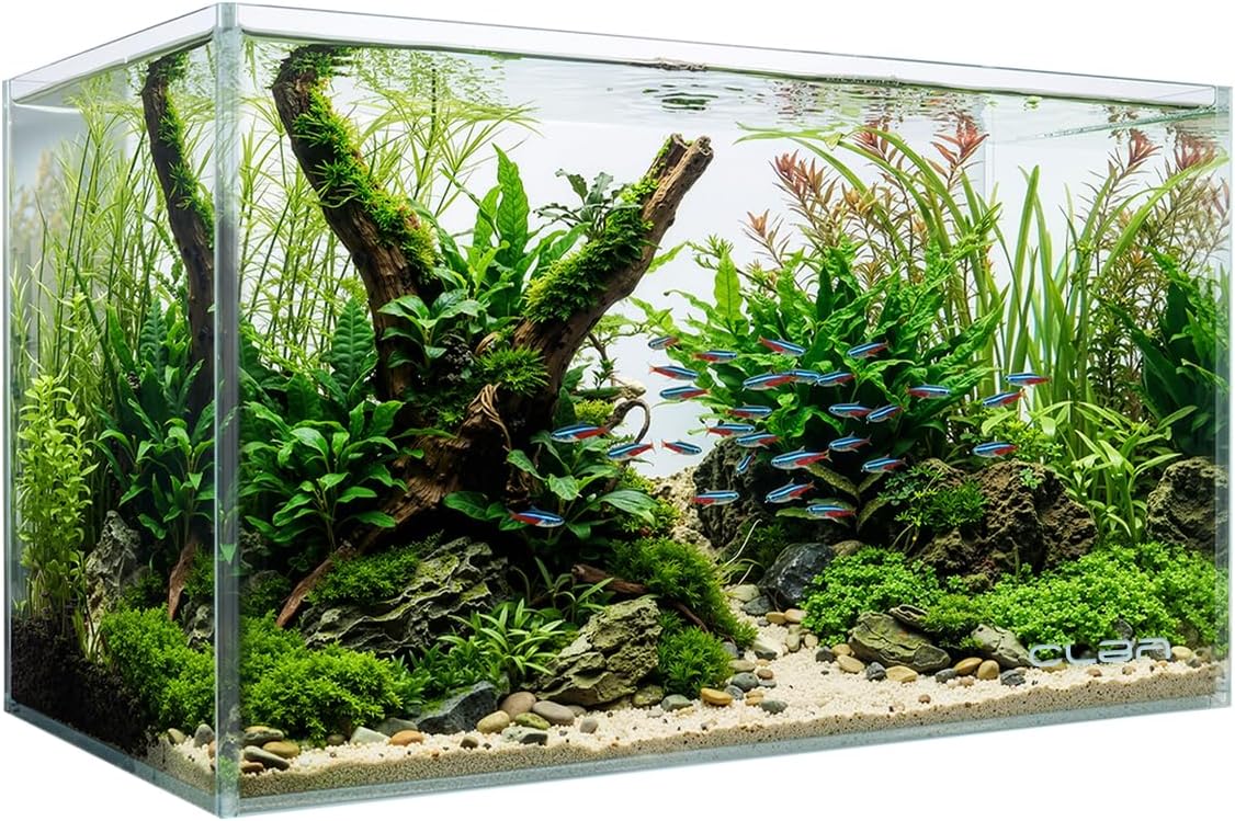 10 Gallon Rectangular Fish Tank, Rimless Ultra Clear Nano Aquarium