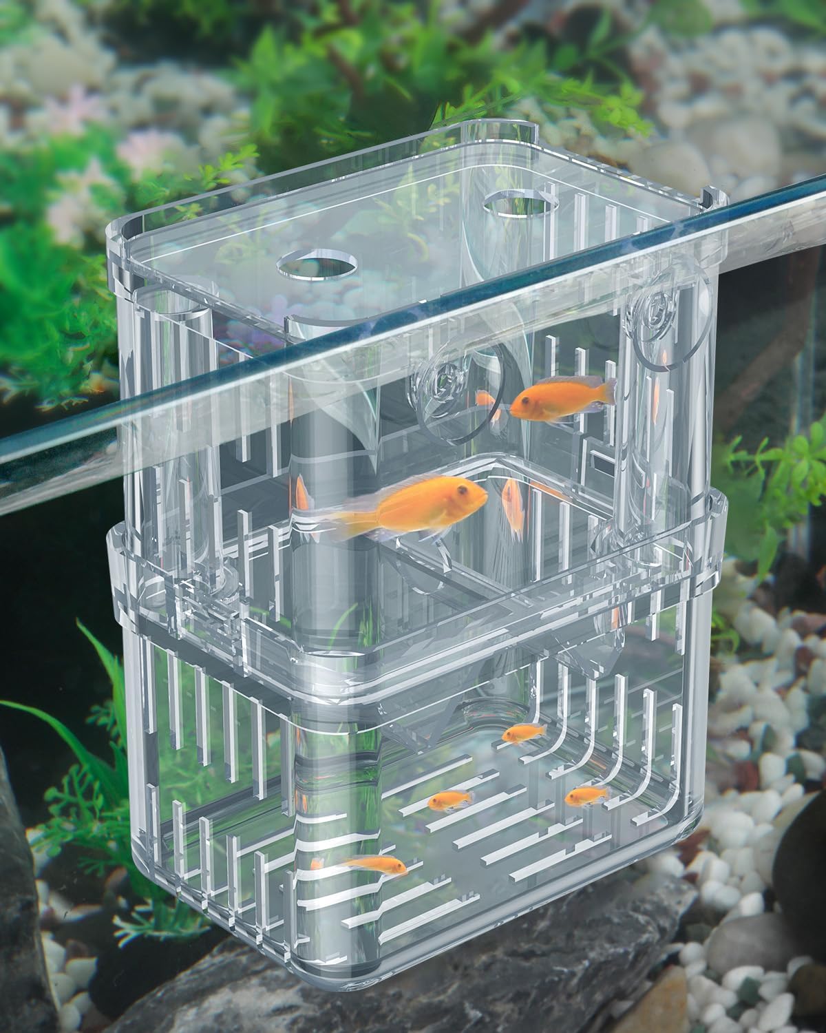 Pawfly Aquarium Breeding Box – Transparent Plastic Breeder Box for Fish Tank, Fry Hatchery Incubator for Baby Fish, Shrimp, Betta, Clownfish, Guppy, Large