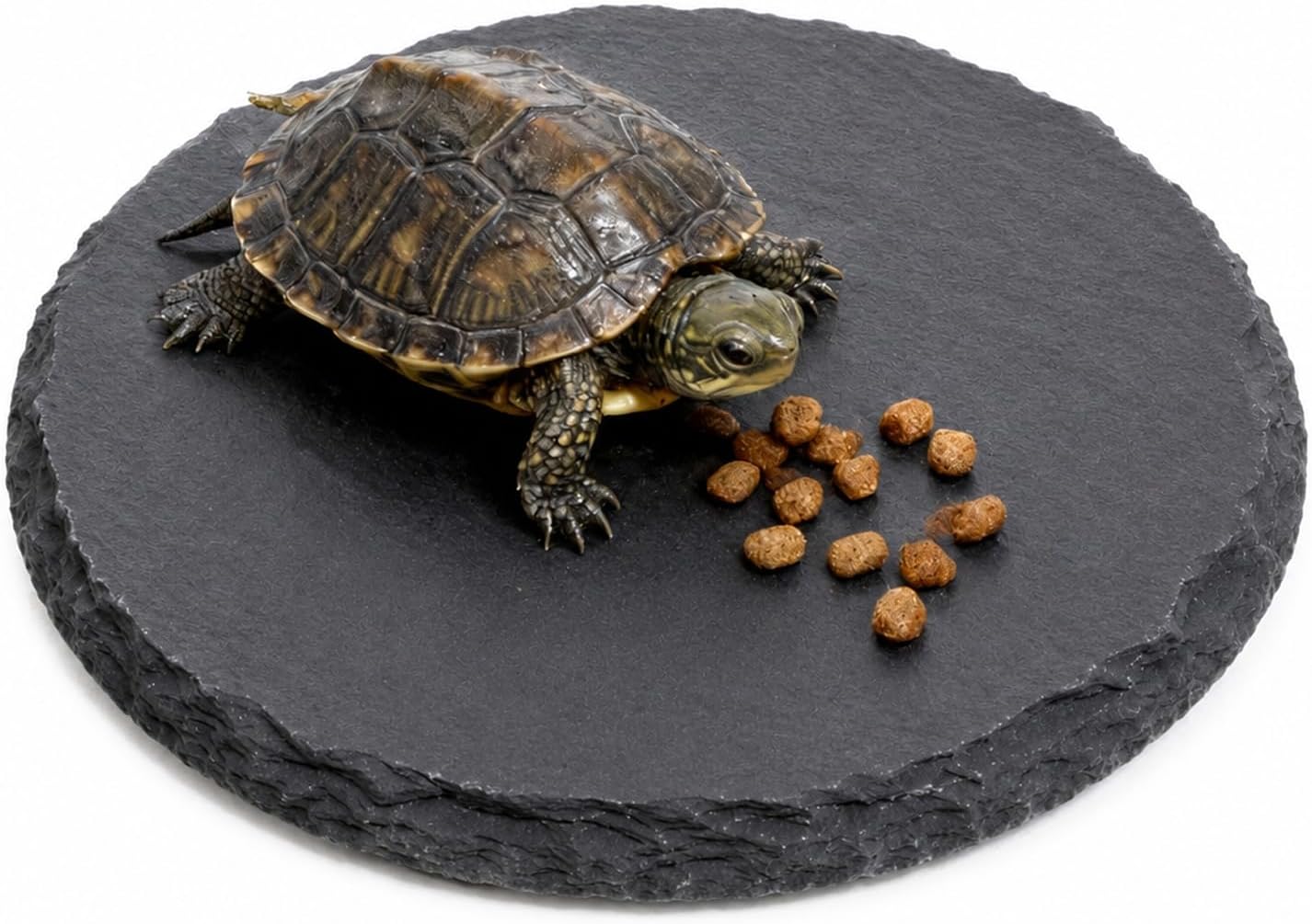 Slate for Reptiles Reptile Basking Platform 3.9Inch Turtle Basking Platform Bearded Dragon Slate Basking-Platforms Bearded Dragon Accessories for Lizards, Chameleons, Geckos, Turtles, Reptile