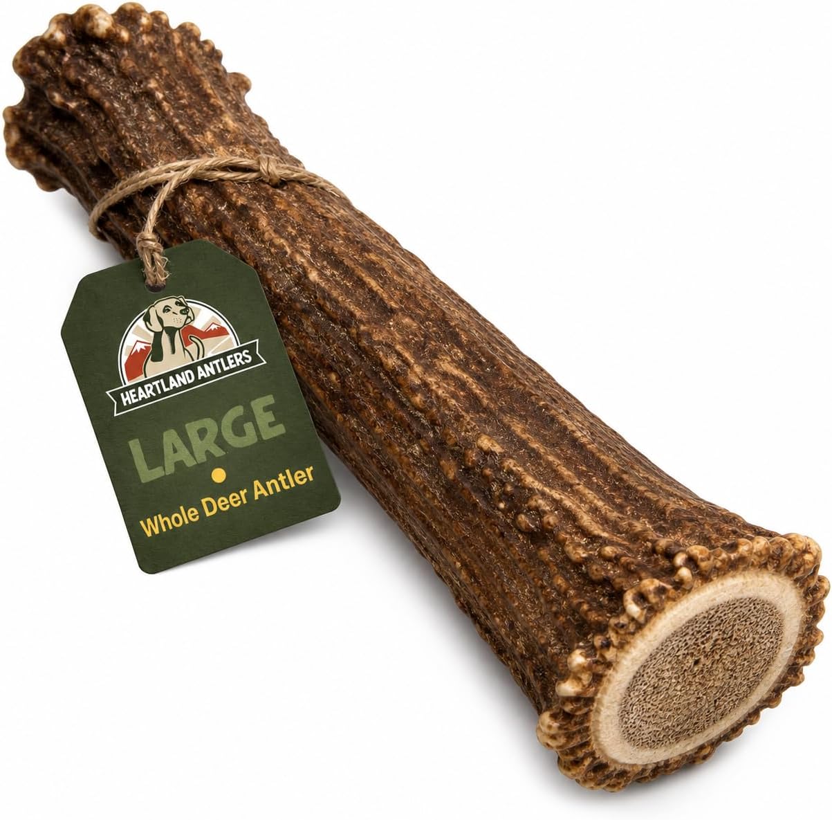 Heartland Antlers Whole Deer Antler Dog Chew for Aggressive Chewers, Large 6-8 Inch Naturally Shed Bone, Long Lasting Single Ingredient Dental Treat, 45-65 lb Dogs, USA Sourced, 1 Pack