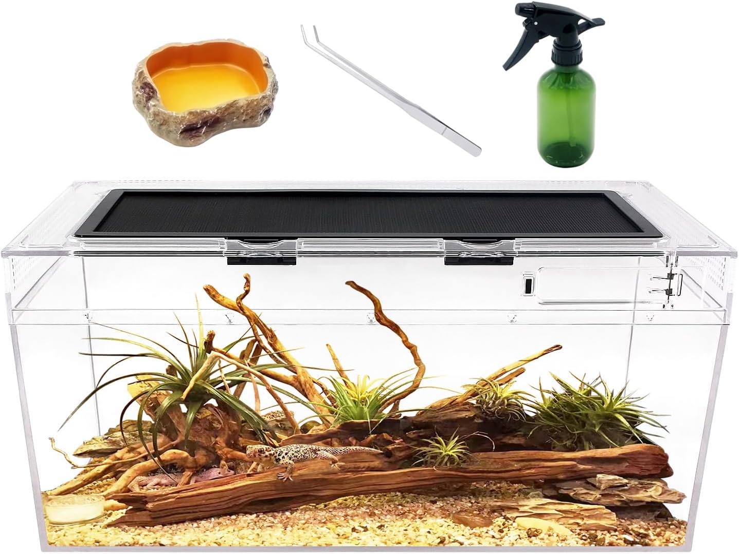 Reptile PC Terrarium Set, Reptile Tank 20″ x 10″x 8″,for Insect，Fish，Tarantula，Hermit Crab，Jumping Spider，Iguana，Tortoise，Leopard Gecko，Bearded Dragon