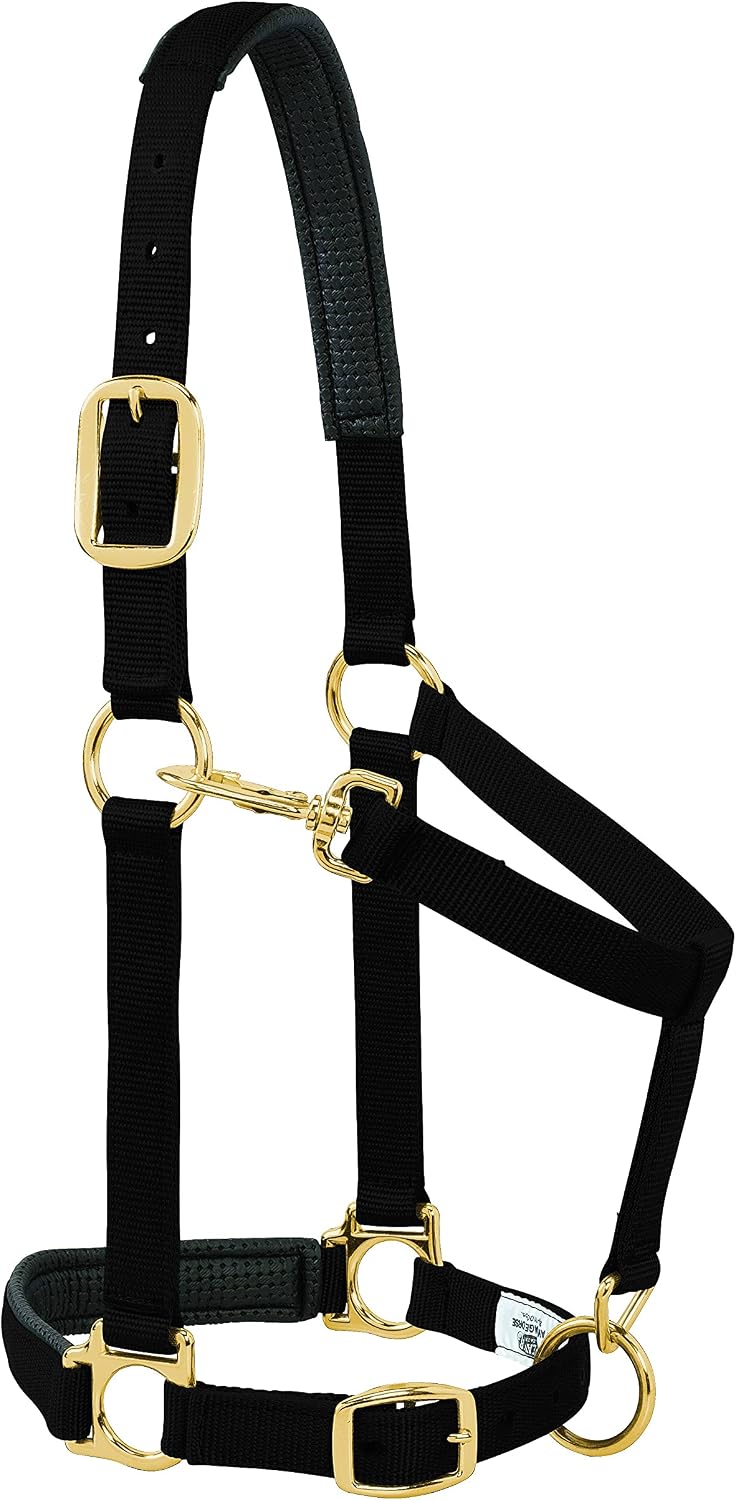 Weaver Leather Padded Adjustable Nylon Horse Halter