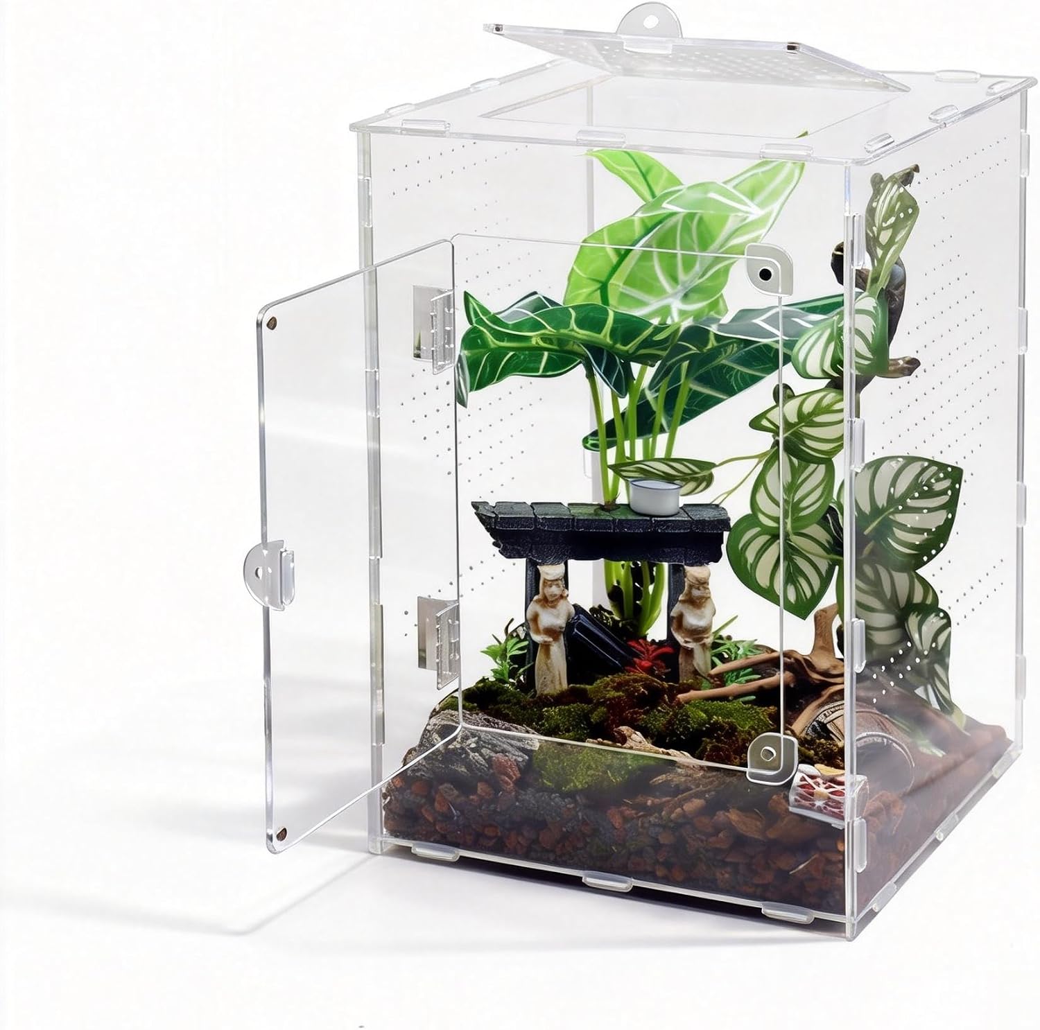 Large Jumping Spider Enclosure, Acrylic Ventilated Terrarium with Magnetic Front and Top Doors, 8.5×8.5×12 Inch, Transparent, Lockable (Large Size)