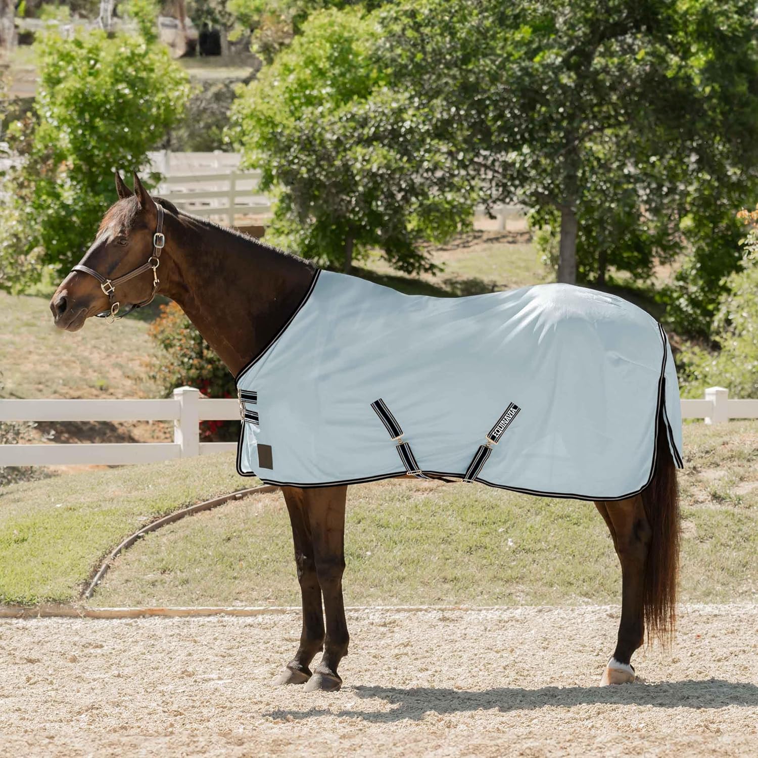 Equinavia Gard Horse Fly Sheet Nylon Mesh Equine Fly Sheet for Horses, Pony