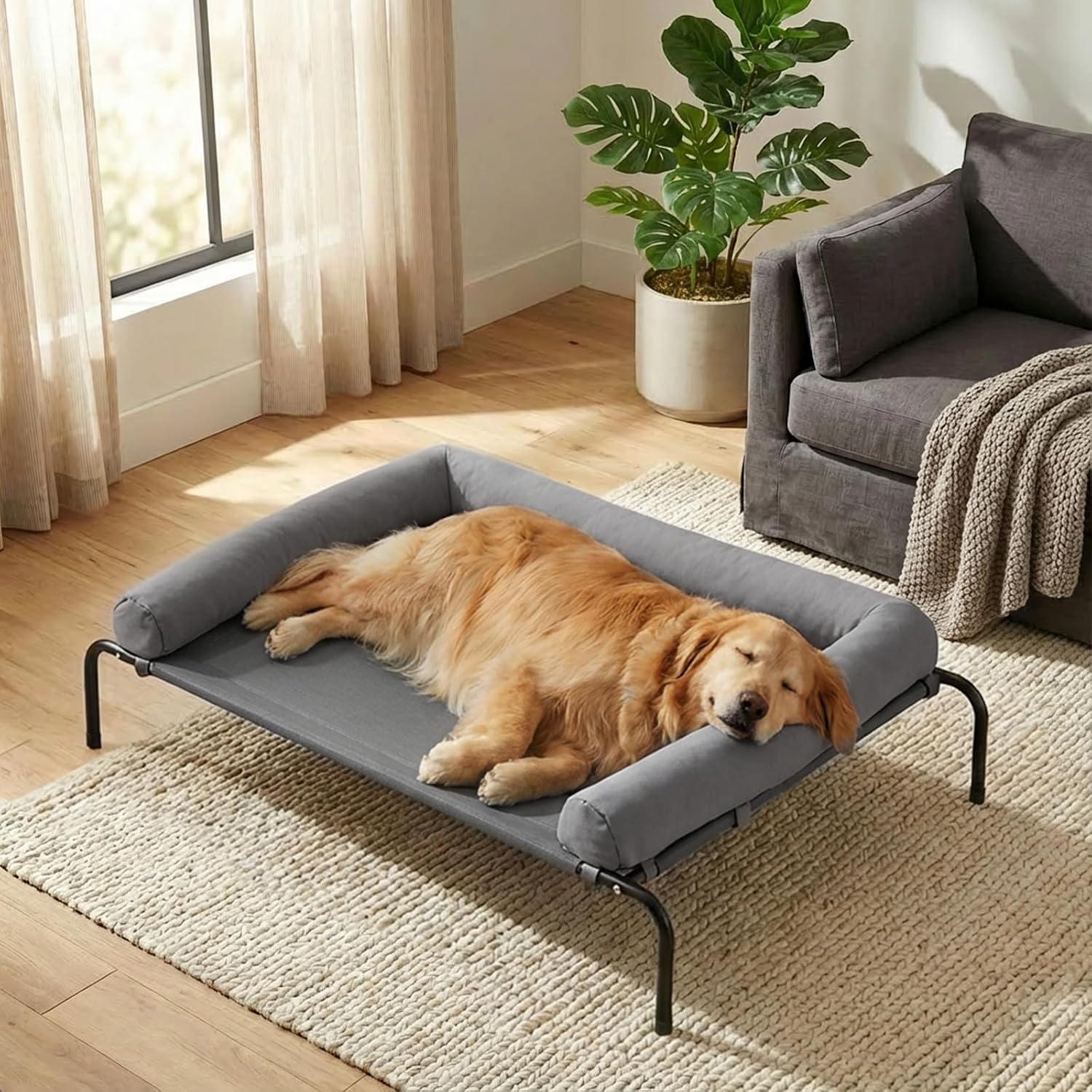 RRPETHOME Elevated Cooling Dog Cot 43×31, Large Raised Outdoor Dog Bed
