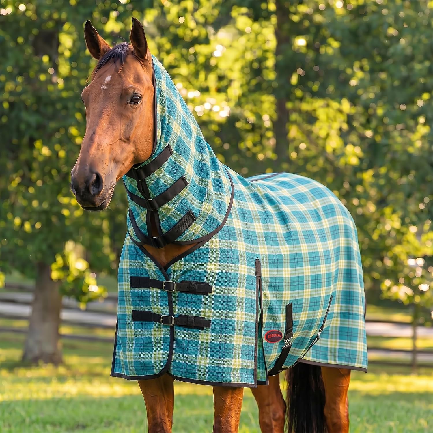 RESISTANCE Fly Sheet for Horses with Neck Cover Durable PVC Hard Mesh Fly Rug, Breathable Coverage, Double Buckle Front, Cross Surcingles & Tail Flap, Adjustable Turnout Sheet (Turquoise, 78″)