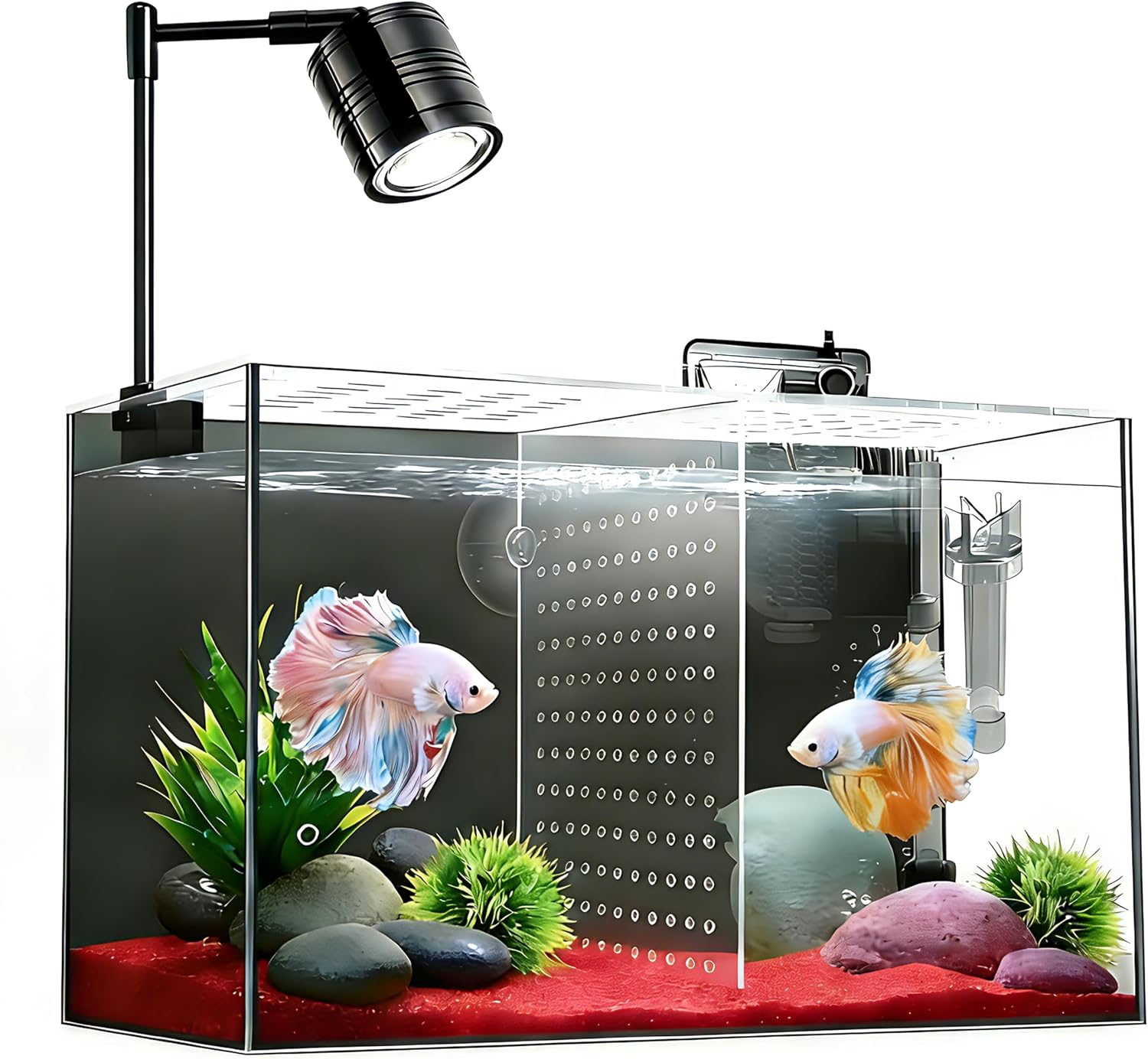 Fish Tank, 3 Gallon Ultra-Clear Glass Fish Aquarium, with Separator Plate for Betta, Fish Tank Starter kit with Filter and Led Light, Black