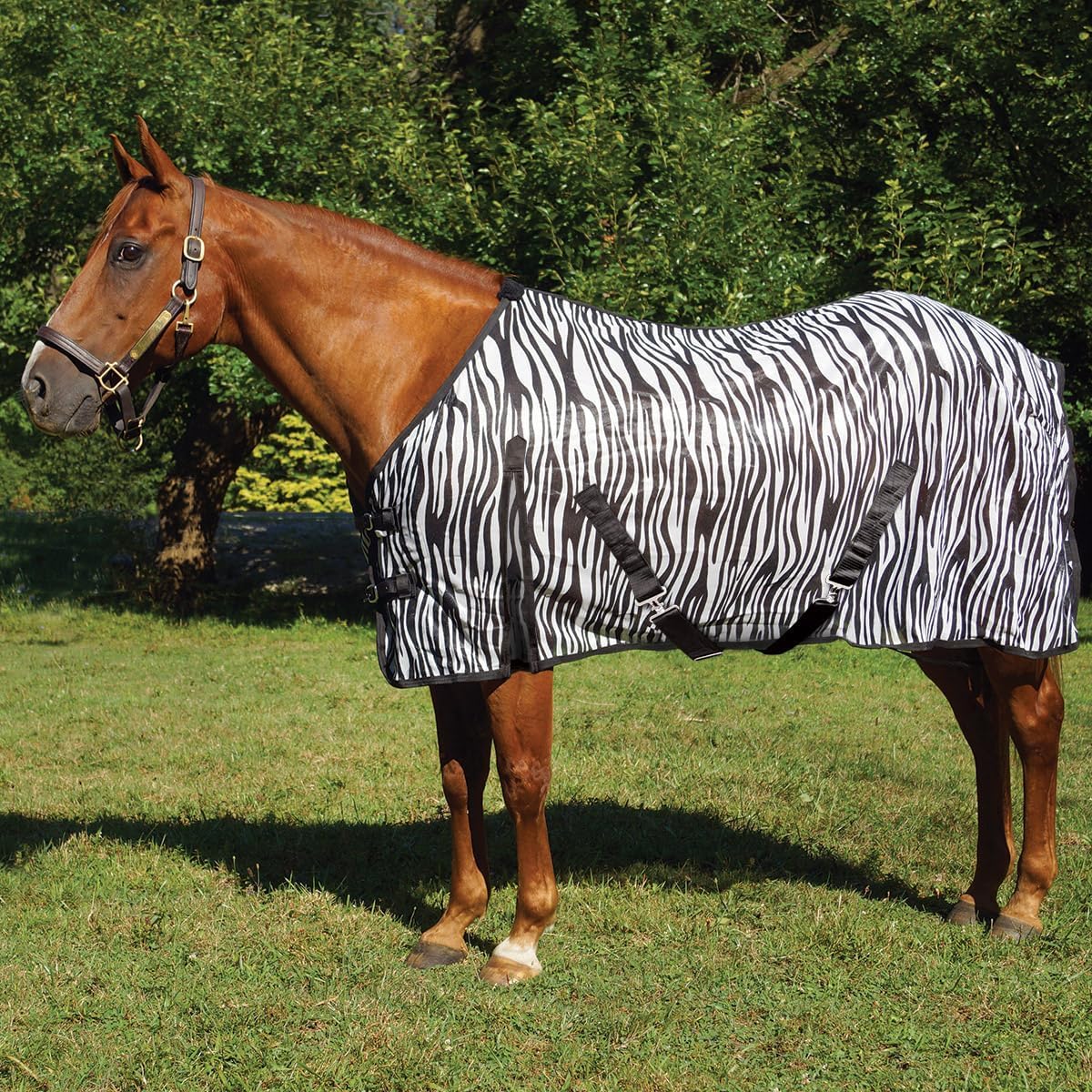 Country Pride Zebra Print Soft Mesh Fly Sheet for Horses, Summer Insect Protection, Adjustable Double Buckle Front, Shoulder Gussets, Removable Leg Straps, Breathable Mesh Horse Blanket (86 in)