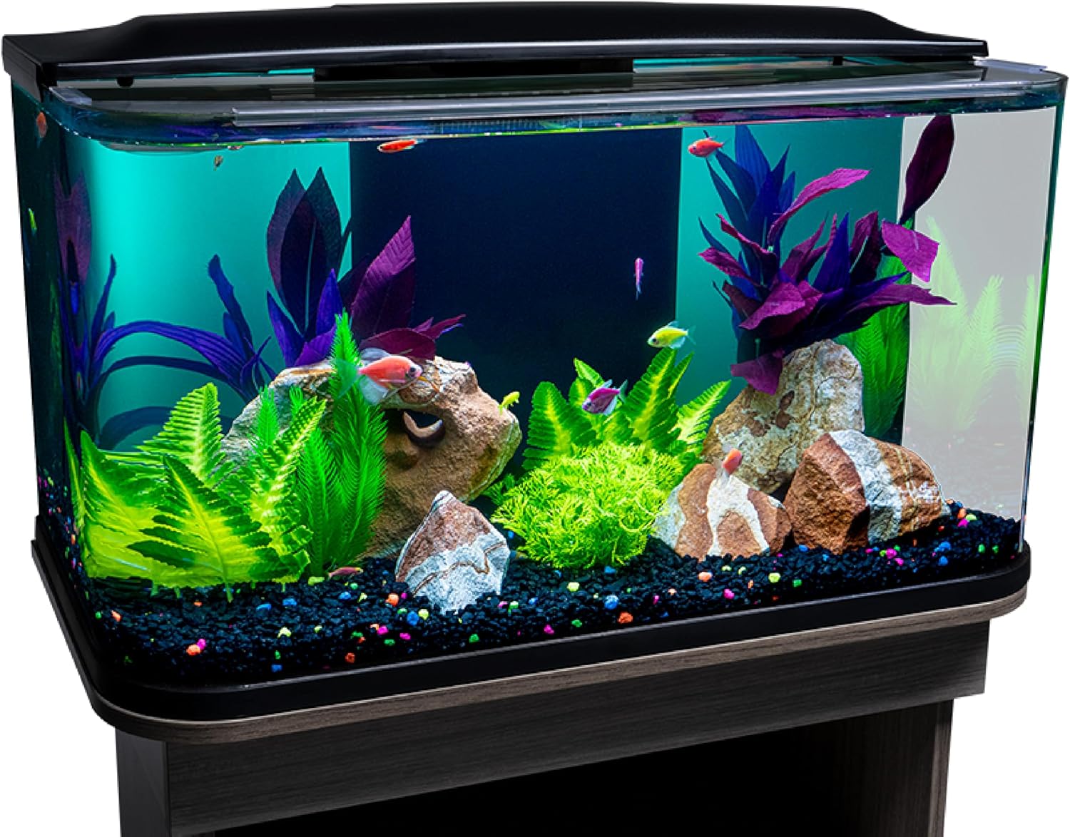 GloFish Glass Aquarium Kit, 20 Gallons, Includes Premium Blue, LED Light Stick & Integrated Filtration, Perfect for Beginners or Seasoned Hobbyists, Seamless, Curved Design