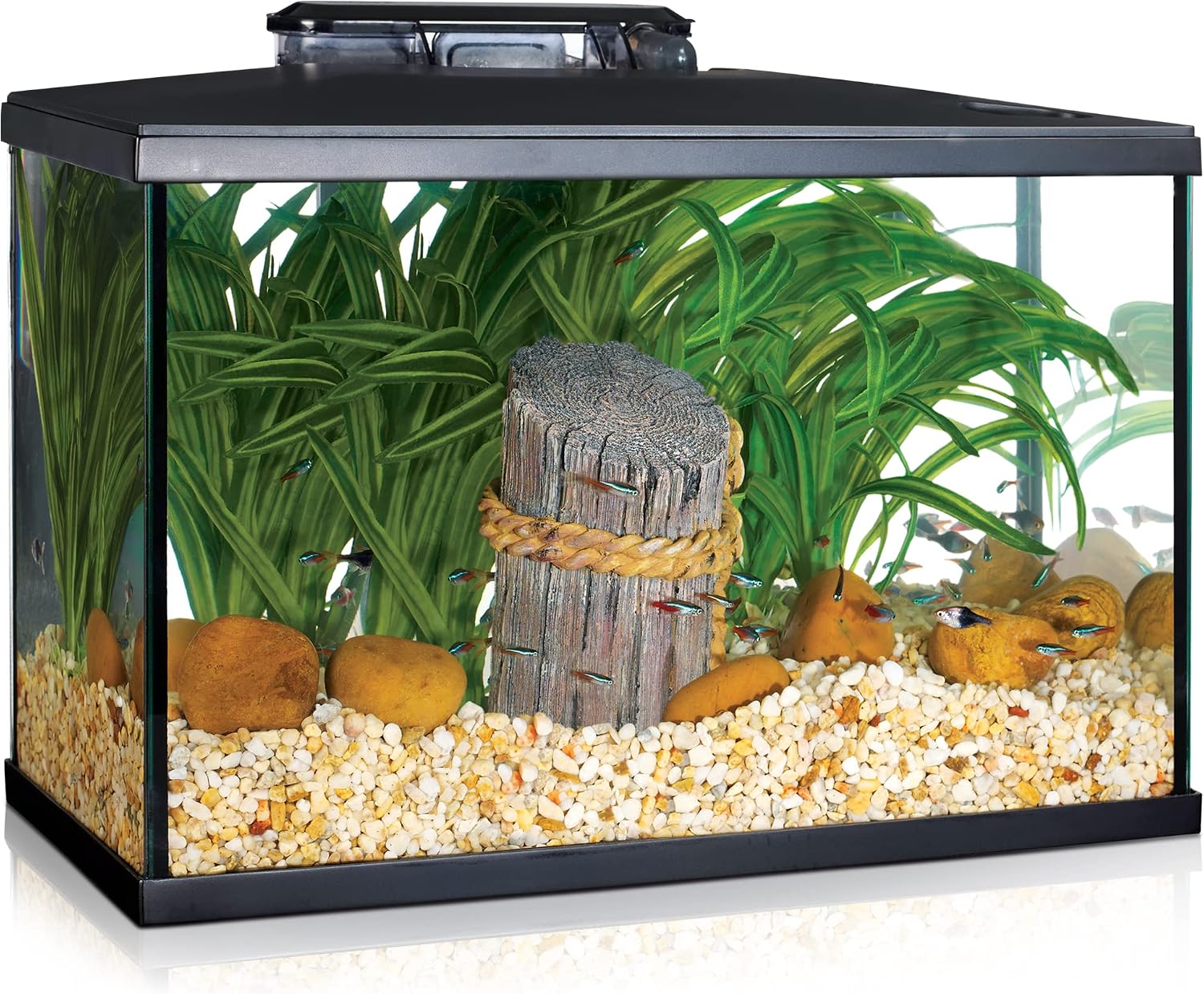 Marina 5 Gallon (19 L) LED Aquarium Kit