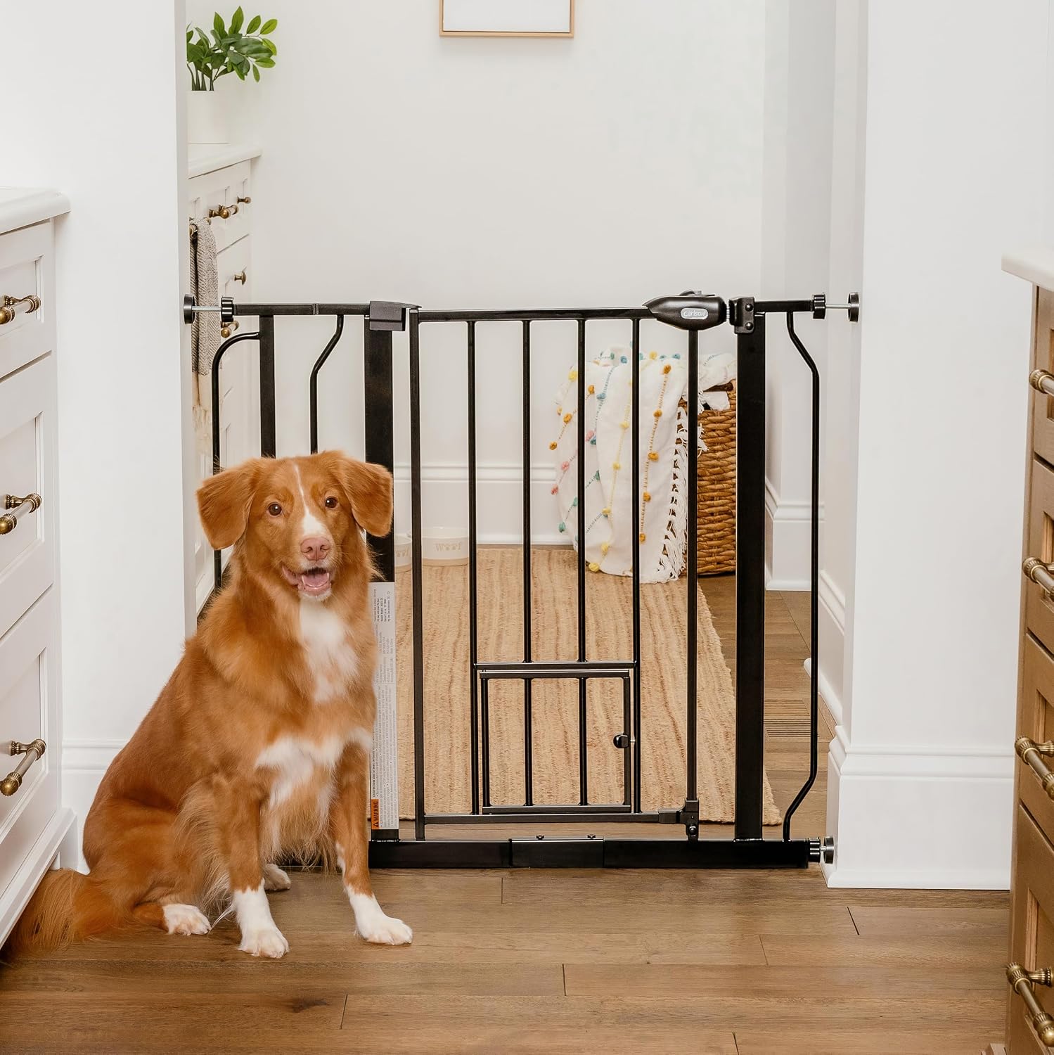 Carlson 29–36.5” Extra Wide Dog Gate with Small Pet Door, Walk-Through Pressure Mounted Metal Indoor Pet Safety Gate, Black, Tested and Trusted by Pet Parents, American Designed, American Owned
