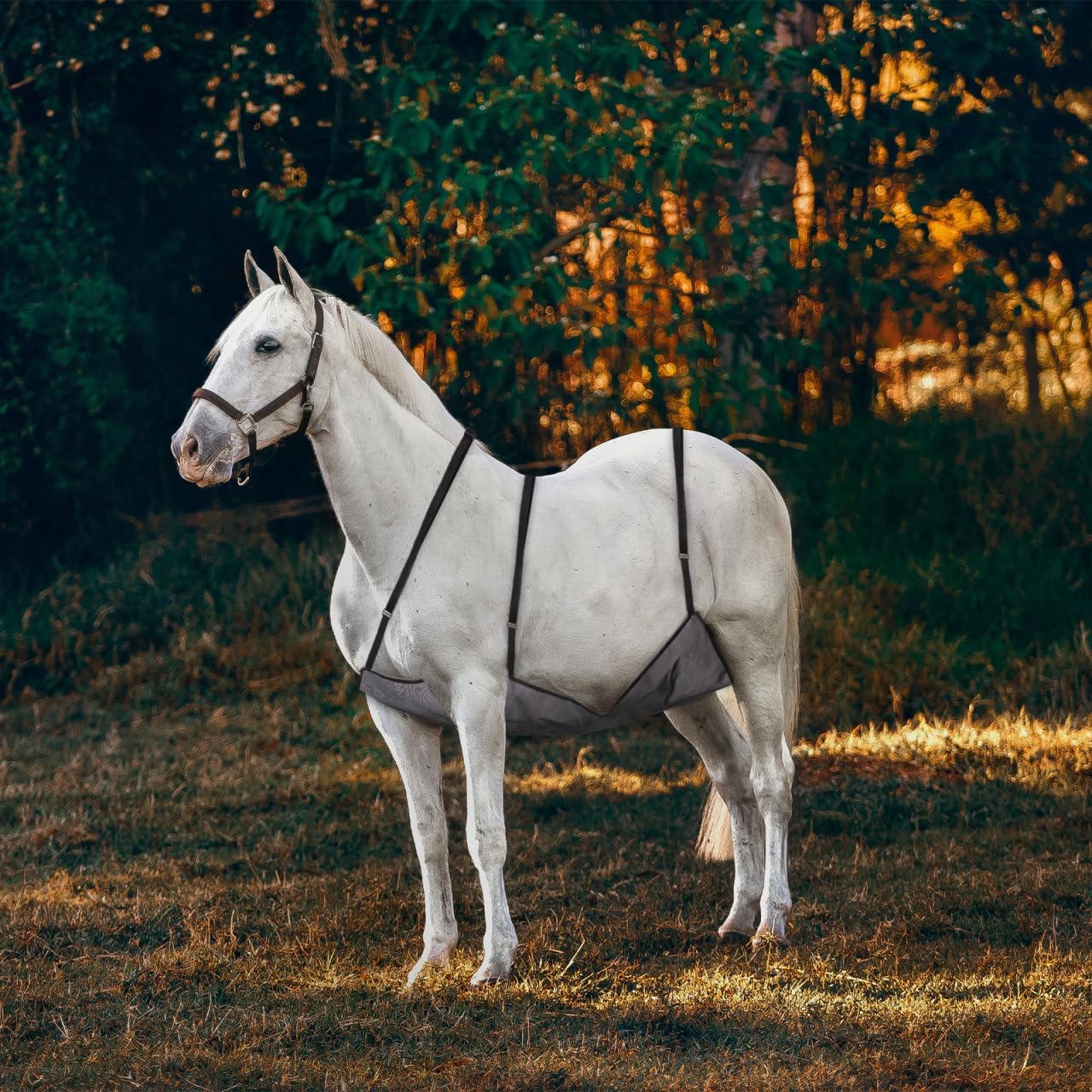 UPKOCH Horse Belly Guard Mesh – Adjustable Fly Sheet for Adult Horses