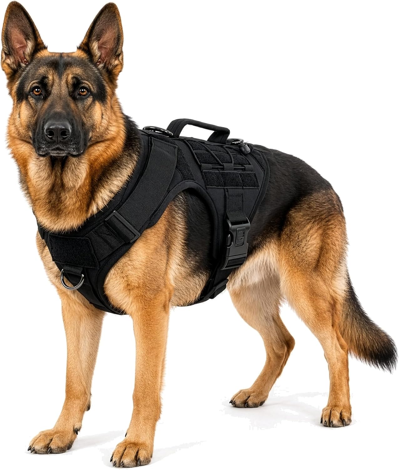 Albcorp Tactical Dog Harness – Heavy Duty, No-Pull Training Vest for Large Breeds, Military Service Dog Vest with Front Leash Clip, Hook & Loop Panels, Padded Handle – Black, Large