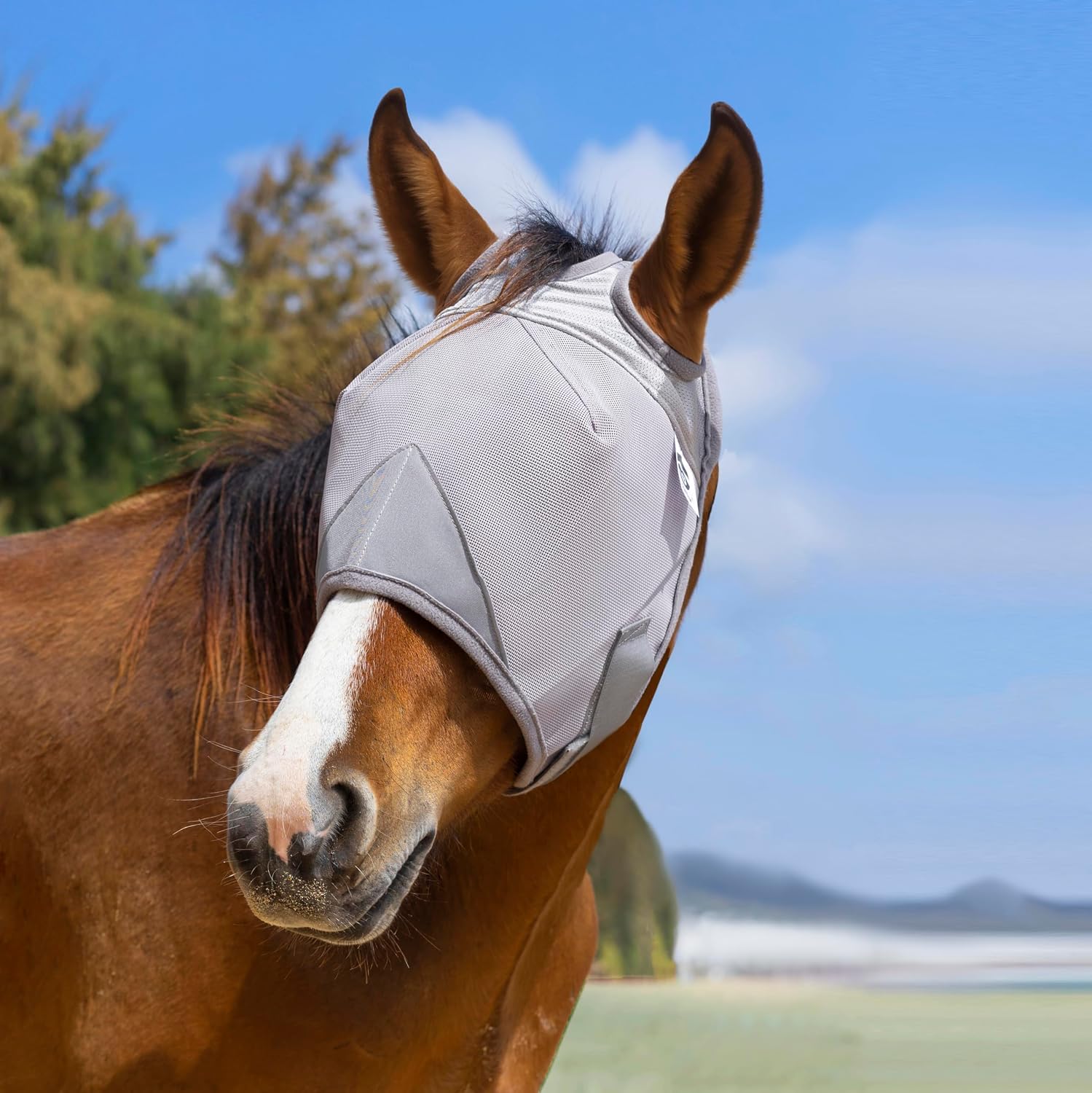 Raelitego Horse Fly Mask Without Ears, Breathable Mesh UV Protection (S)